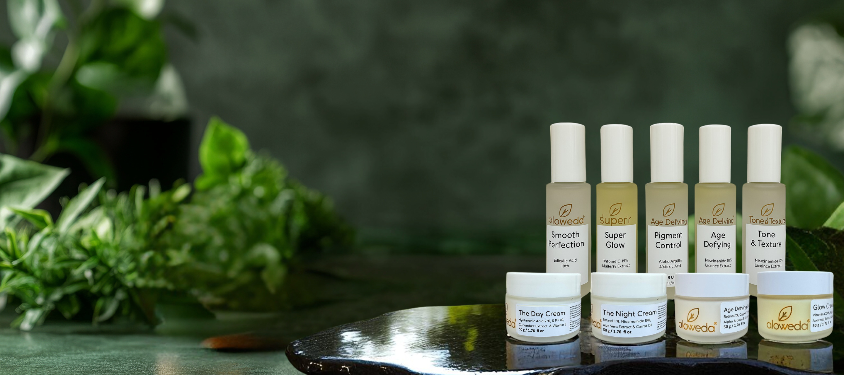 Aloweda Skin care
