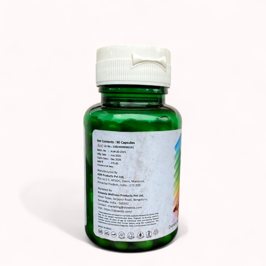 TURMERIC CURCUMIN 650 mg, Slow Release, Vegan Capsule