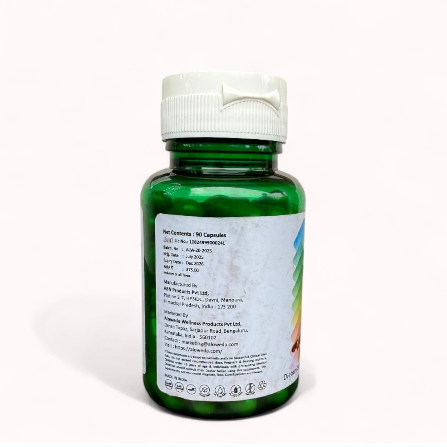 TURMERIC CURCUMIN 650 mg, Slow Release, Vegan Capsule